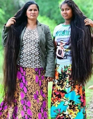 Neelambari Adivasi Herbal Hair Oil * 100% Original *