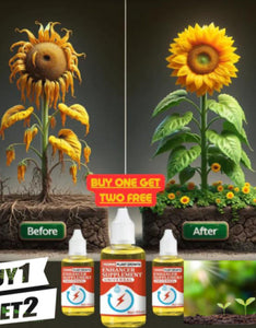 PLANT GROWTH ENHANCER SUPPLEMENT