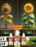 PLANT GROWTH ENHANCER SUPPLEMENT