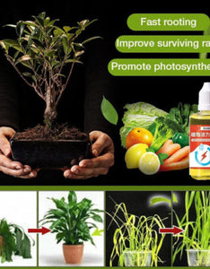 PLANT GROWTH ENHANCER SUPPLEMENT