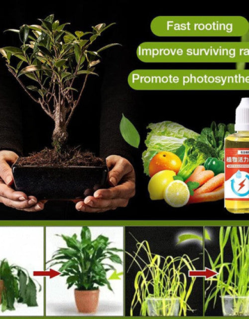 PLANT GROWTH ENHANCER SUPPLEMENT