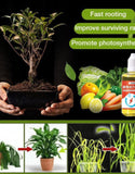 PLANT GROWTH ENHANCER SUPPLEMENT