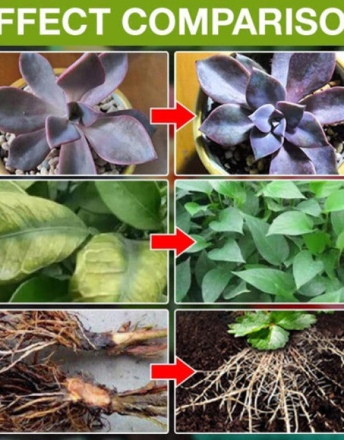PLANT GROWTH ENHANCER SUPPLEMENT